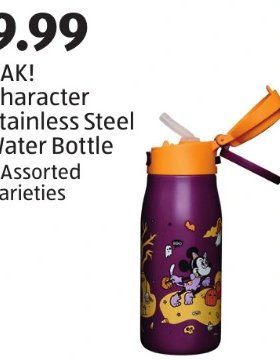 ZAK! Character Stainless Steel Water Bottle