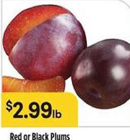 Red or Black Plums
