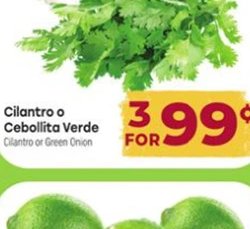 Cilantro o Cebollita Verde