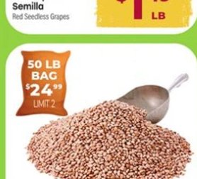 Frijol Pinto