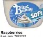 Blue Bunny Soft Frozen Dairy Dessert