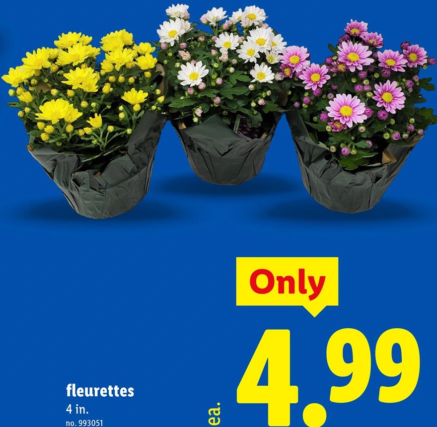 fleurettes