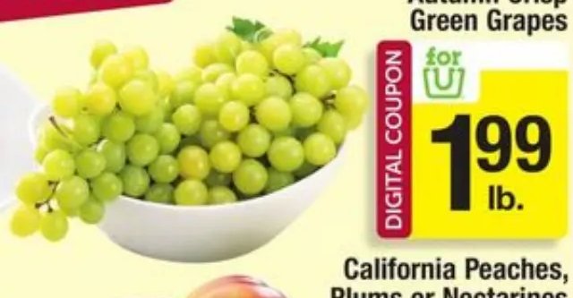 Autumn Crisp Green Grapes