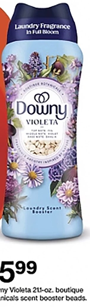 Downy Violeta