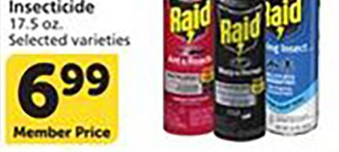 Raid Ant & Roach Insecticide