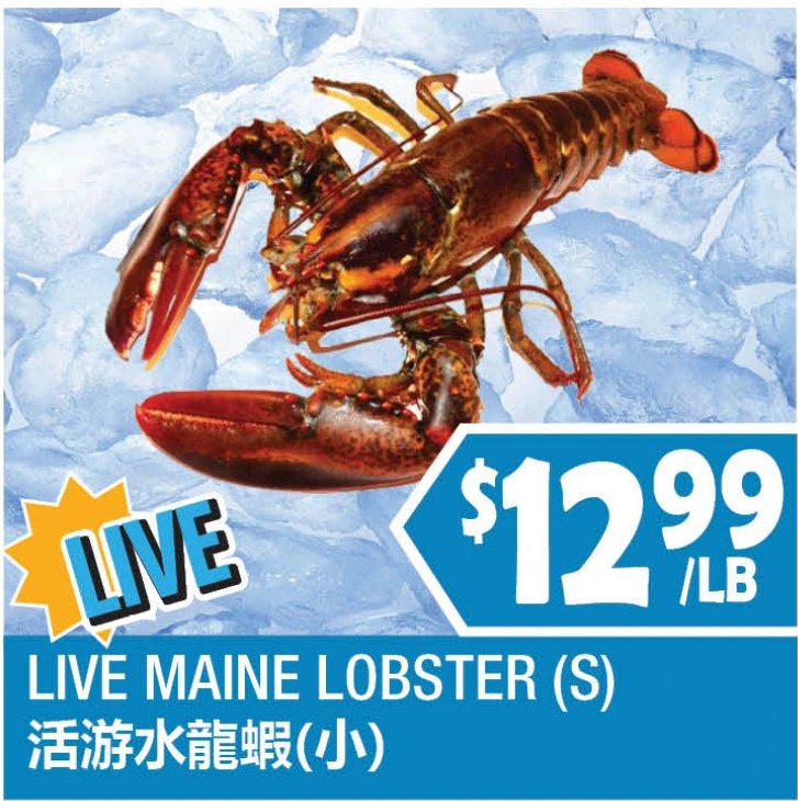 LIVE MAINE LOBSTER (S)