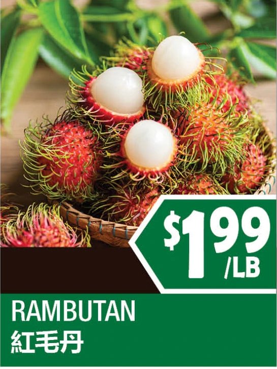 RAMBUTAN
