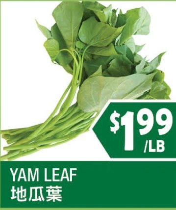 YAM LEAF