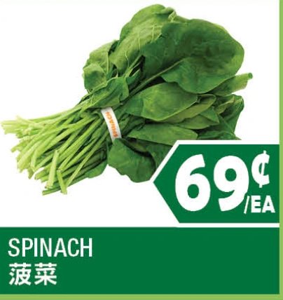 SPINACH