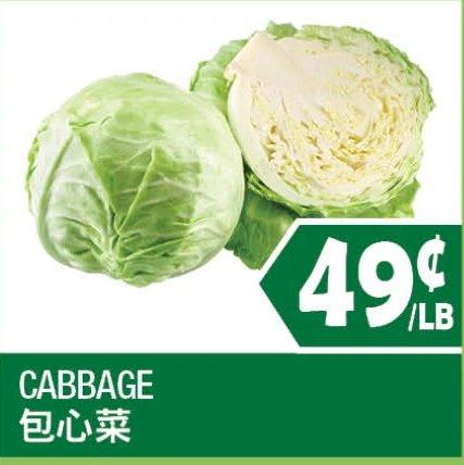 CABBAGE