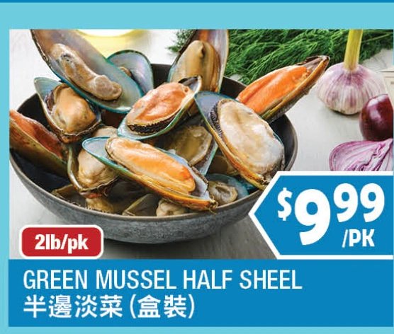 GREEN MUSSEL HALF SHEEL