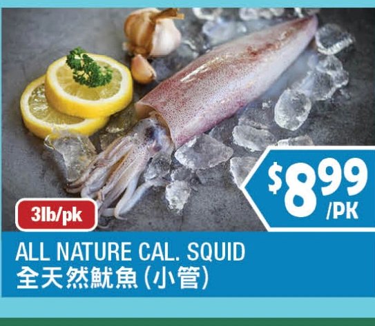 ALL NATURE CAL. SQUID