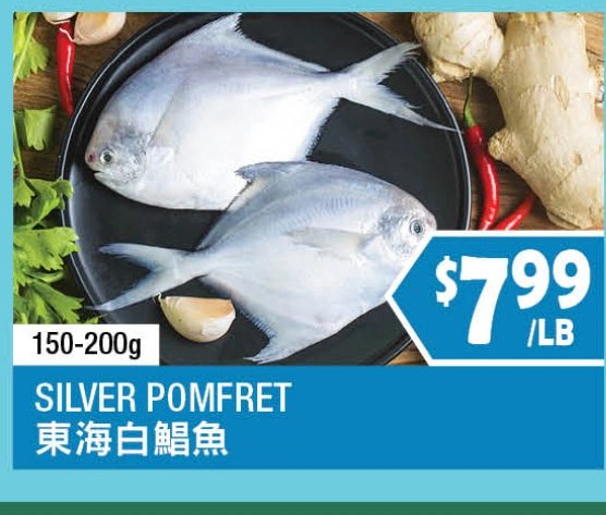 SILVER POMFRET