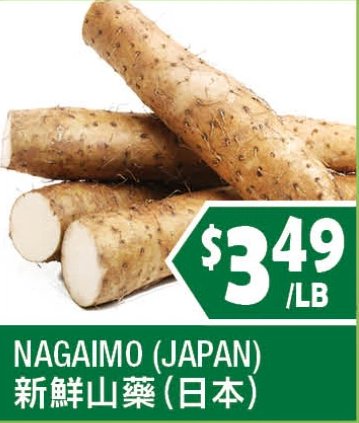 NAGAIMO (JAPAN)