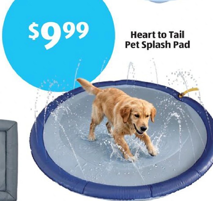 Heart to Tail Pet Splash Pad