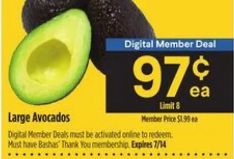 Large Avocados