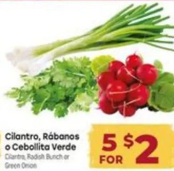 Cilantro, Rábanos o Cebollita Verde