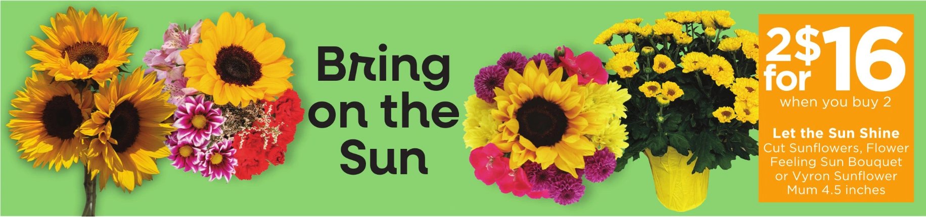 Let the Sun Shine Cut Sunflowers, Flower Feeling Sun Bouquet or Vyron Sunflower Mum