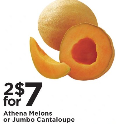 Athena Melons or Jumbo Cantaloupe