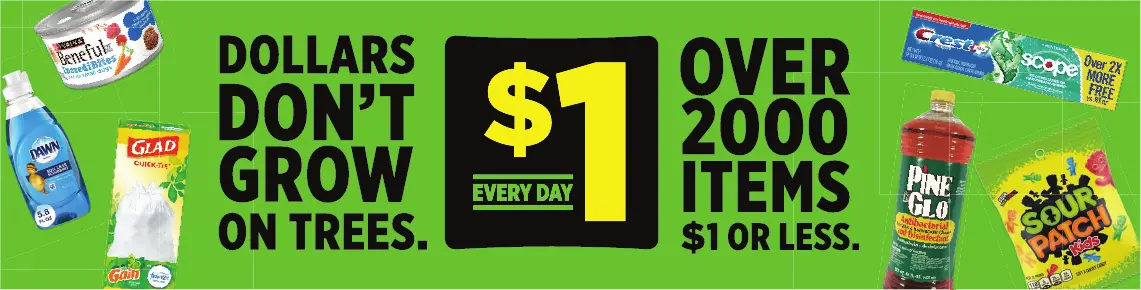 Dollar General Weekly Ad Page 6