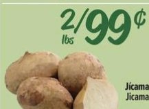 Jícama