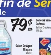 Galon de Agua Niagara