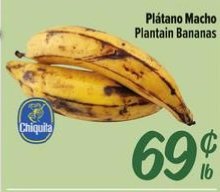 Plátano Macho