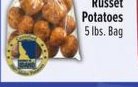 Papa Russet