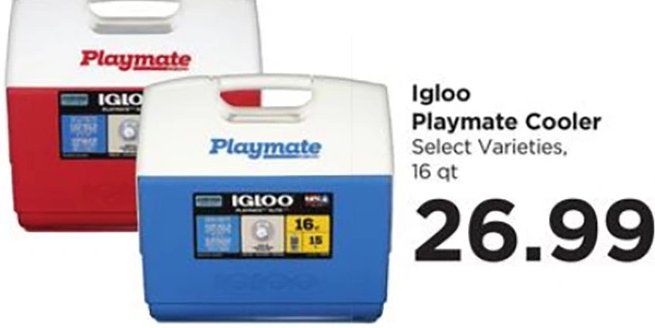 Igloo Playmate Cooler