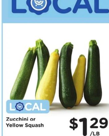 Zucchini or Yellow Squash