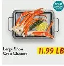 Large Snow Crab Clusters