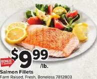 Salmon Fillets
