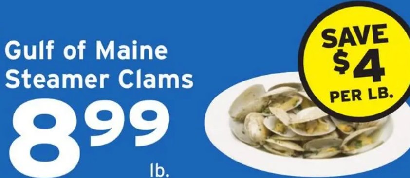 Gulf of Maine Steamer Clams