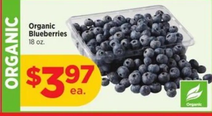 Organic Blueberries