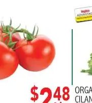 ORGANIC CILANTRO