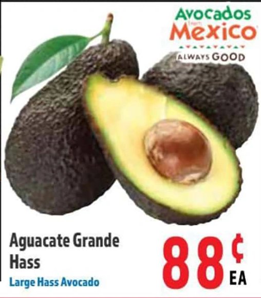 Aguacate Grande Hass