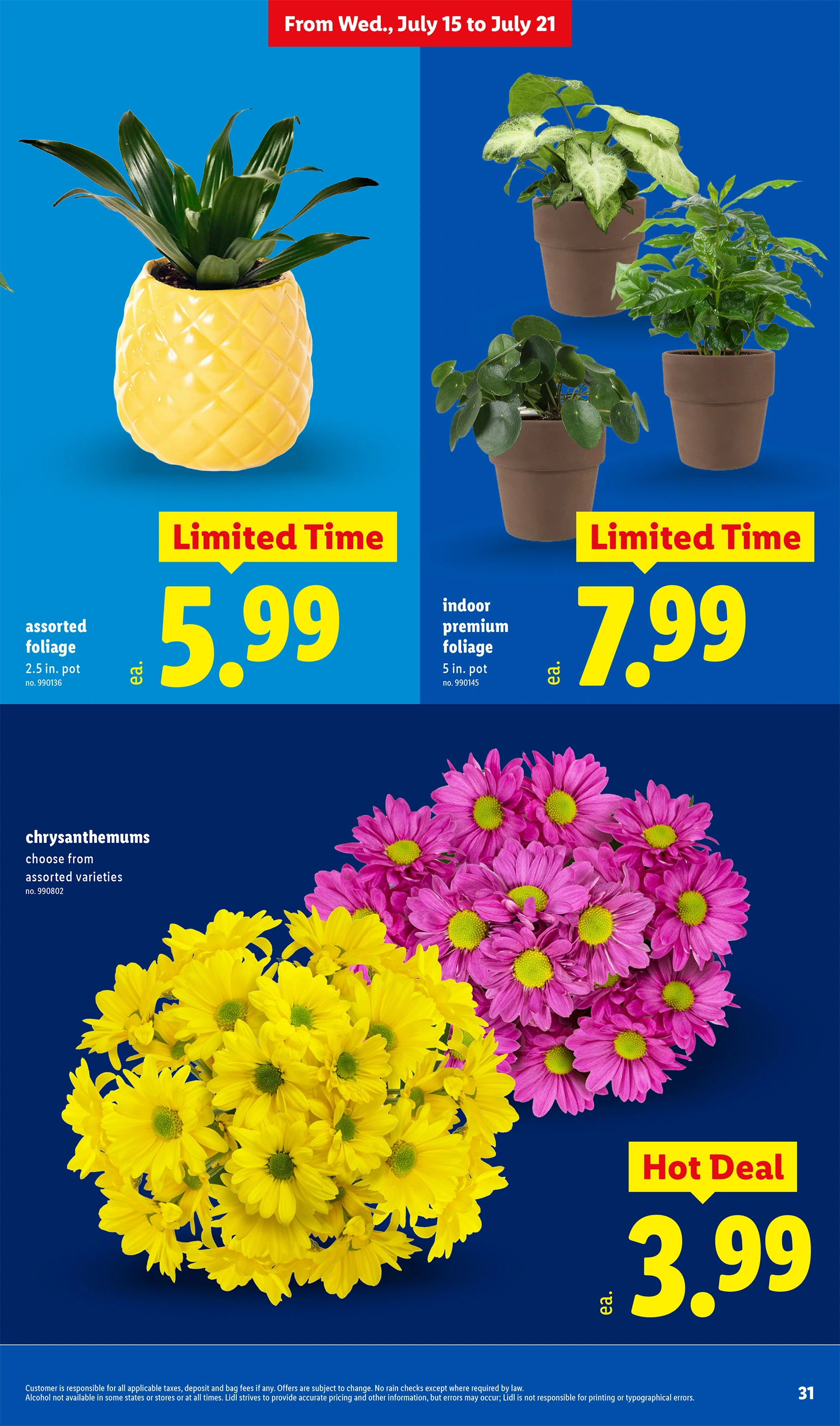 Lidl Weekly Ad Page 29