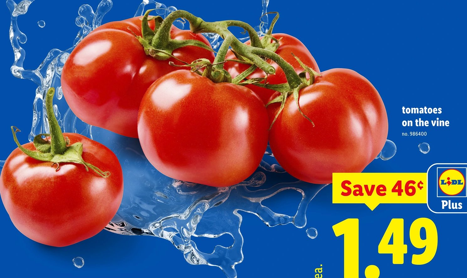 tomatoes on the vine