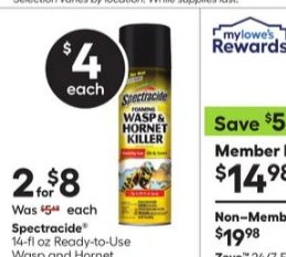 Spectracide 14-fl oz Ready-to-Use Wasp and Hornet Killer