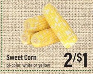 Sweet Corn