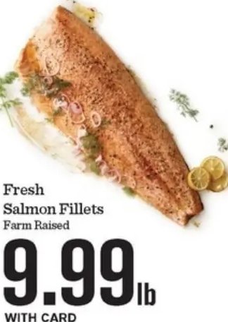 Fresh Salmon Fillets