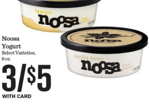 Noosa Yogurt
