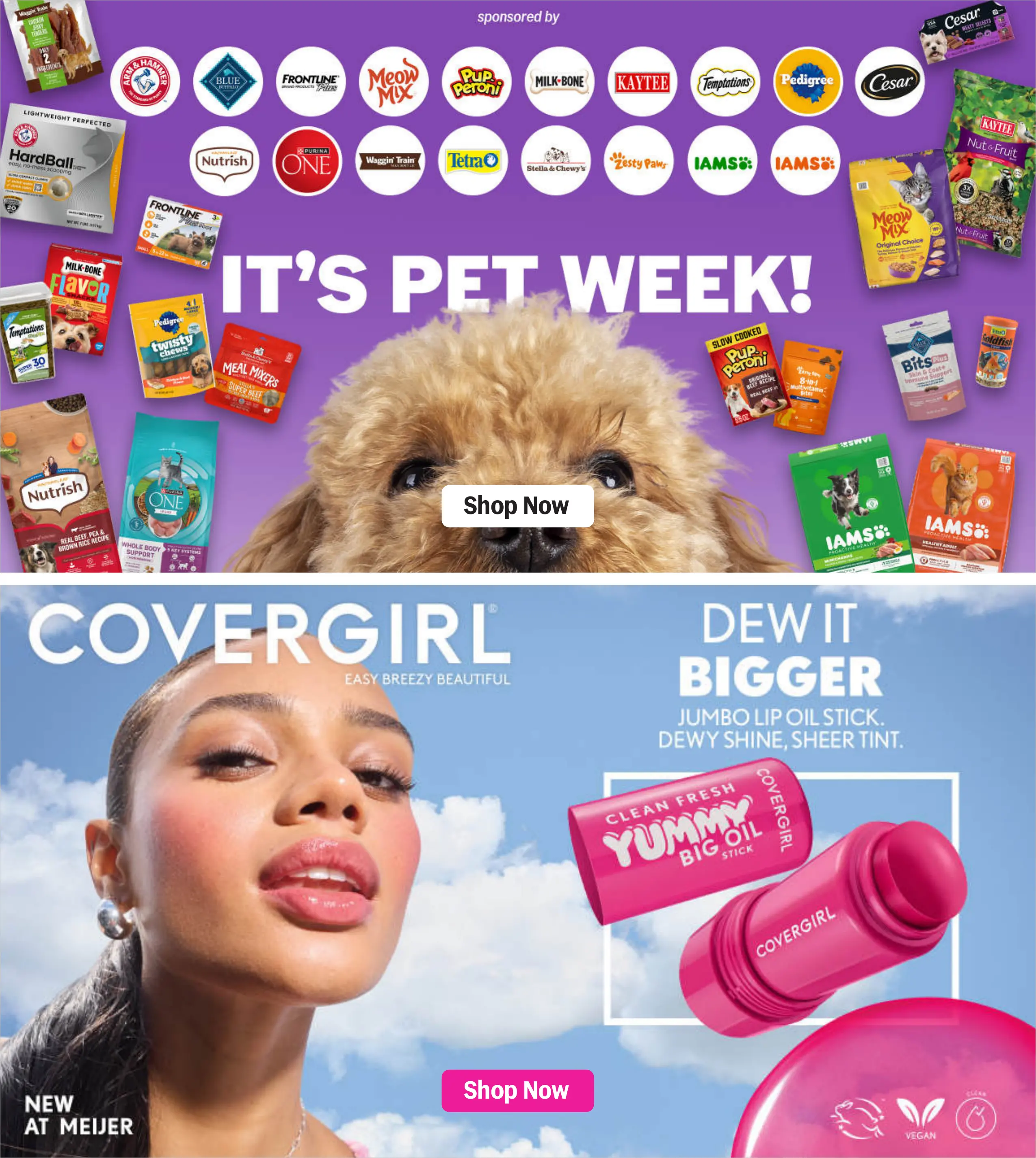 Meijer Weekly Ad Page 40