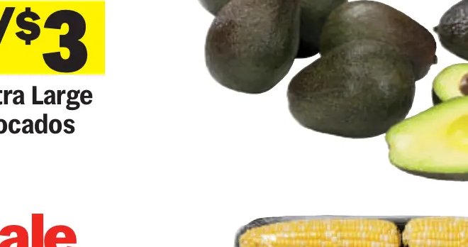 Extra Large Avocados