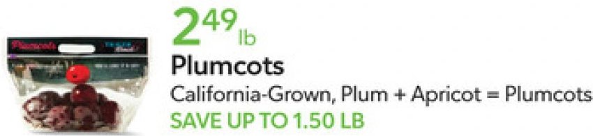 Plumcots
