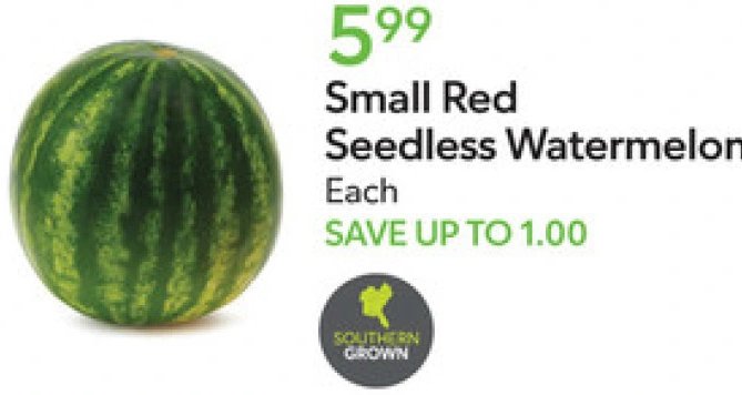Small Red Seedless Watermelon