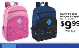 Summit's Edge Bungee Backpack