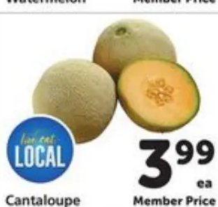 Cantaloupe