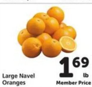 Large Navel Oranges