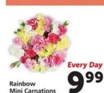 Rainbow Mini Carnations